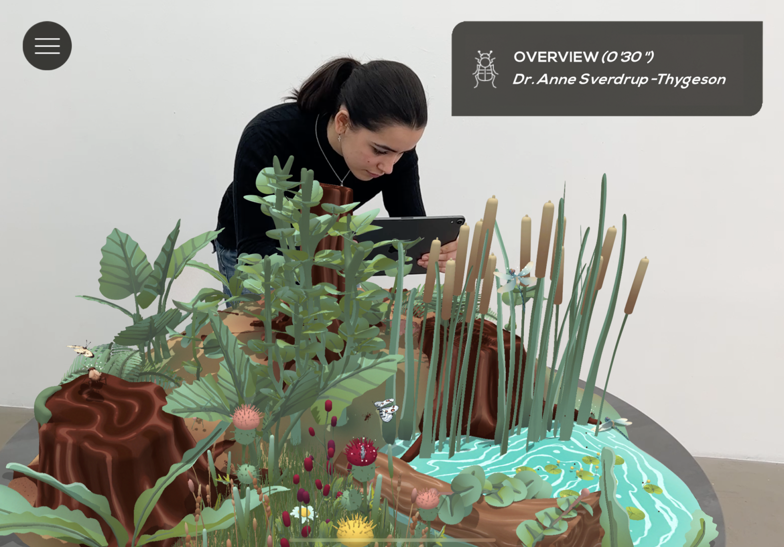 Insects & Us, Kris Hofmann