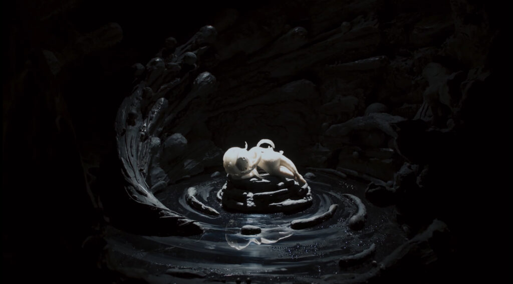 O Black Hole!, Renee Zhan