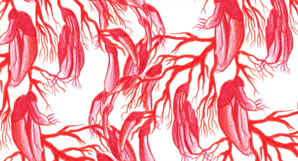 Impossible Figures and Other Stories II, Marta Pajek