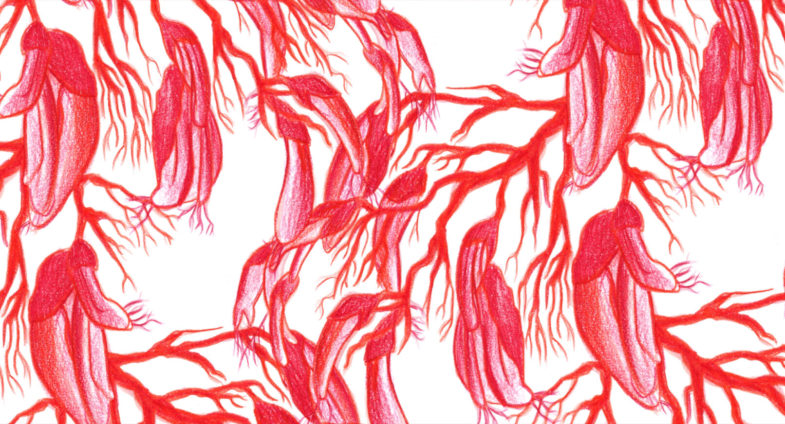 Impossible Figures and Other Stories II, Marta Pajek